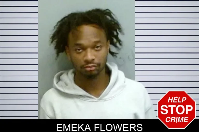 Emeka Flowers mugshot – Fulton County , Georgia Emeka Flowers