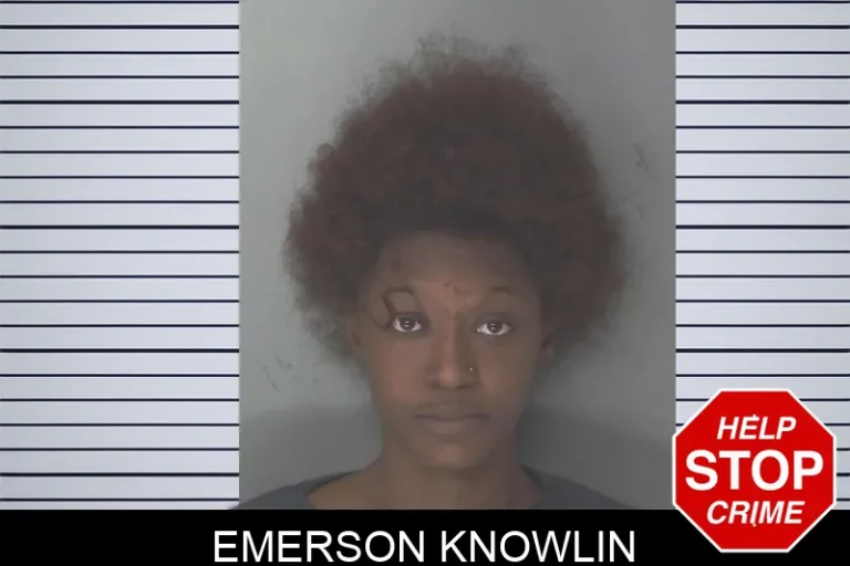 Emerson Knowlin mugshot – Douglas County , Georgia Emerson Knowlin
