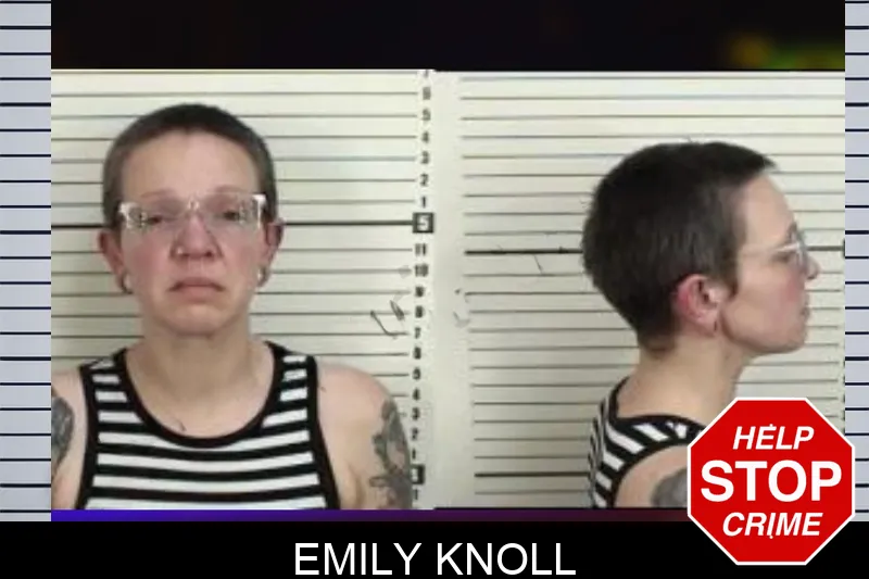 Emily Knoll Mugshots