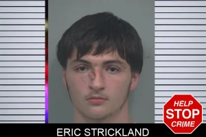 Eric Strickland mugshot