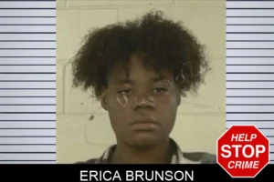 Erica Brunson mugshot