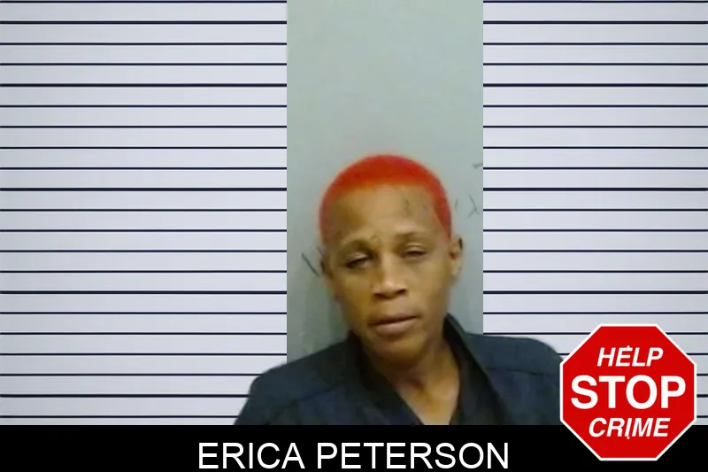 Erica Peterson Mugshots