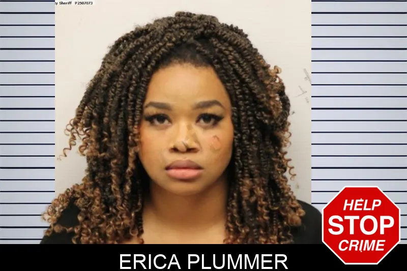 Erica Plummer Mugshots