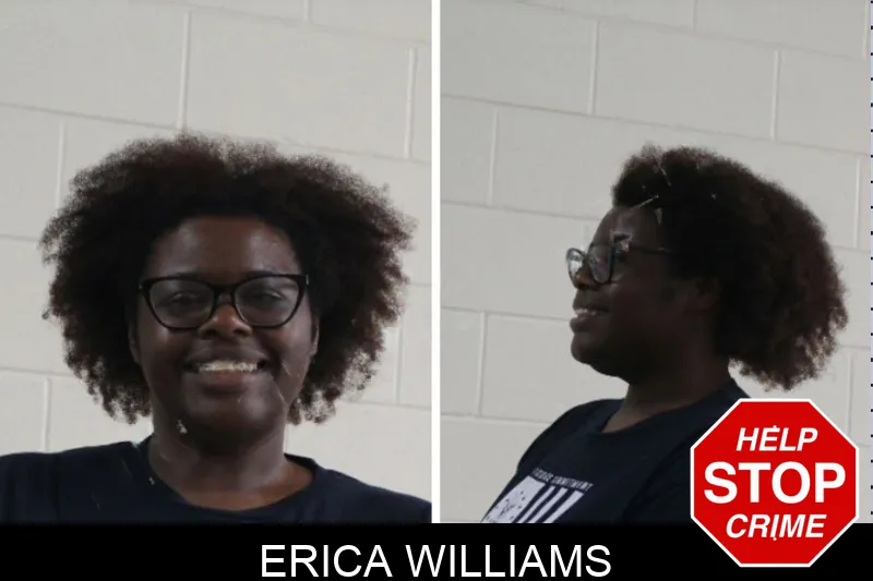 Erica Williams Mugshots