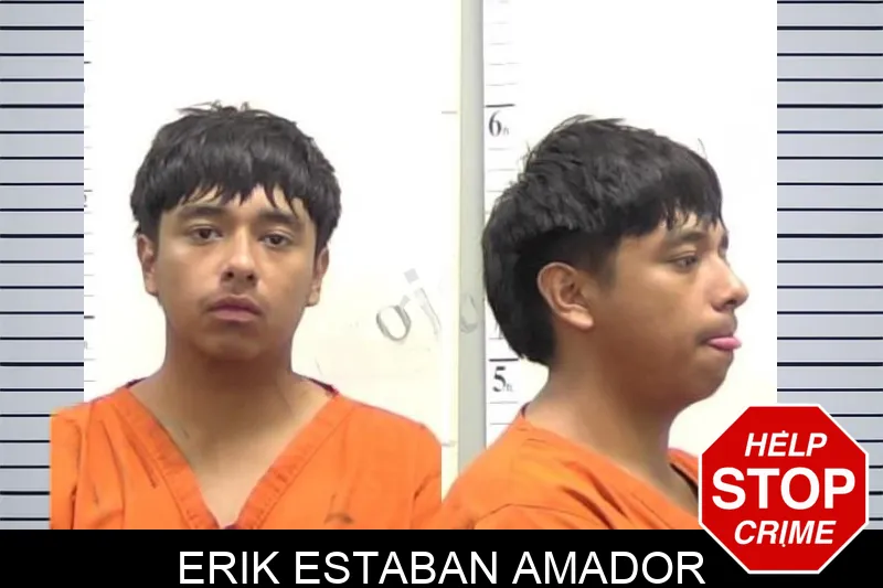 Erik Estaban Amador mugshot