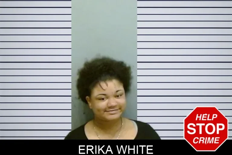 Erika White mugshot – Fulton County , Georgia Erika White