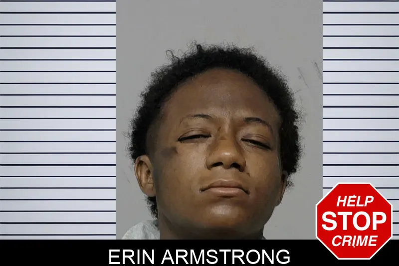 Erin Armstrong Mugshots