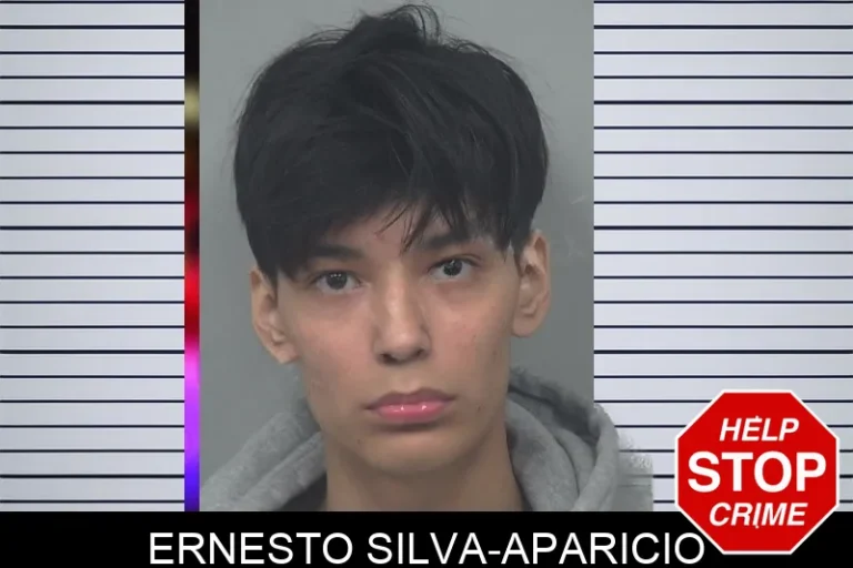 Ernesto Silva-Aparicio