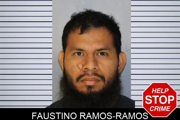 Faustino Ramos-Ramos