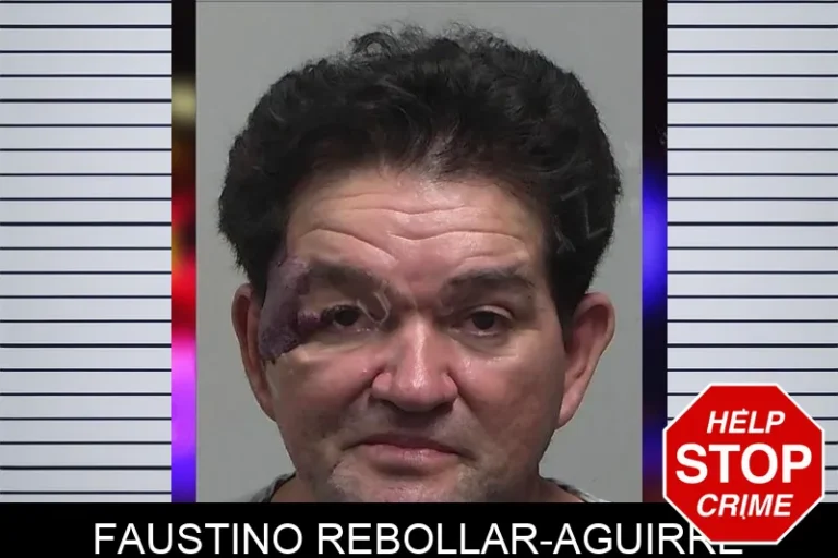 Faustino Rebollar-Aguirre