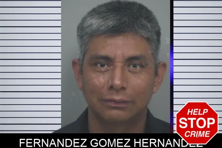 Fernandez Gomez Hernandez