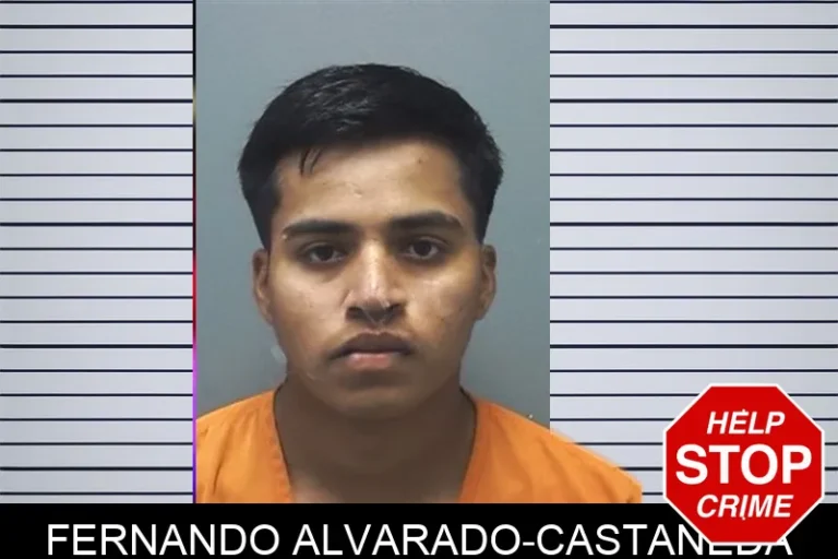 Fernando Alvarado-Castaneda mugshot – Cherokee County , Georgia Fernando Alvarado-Castaneda