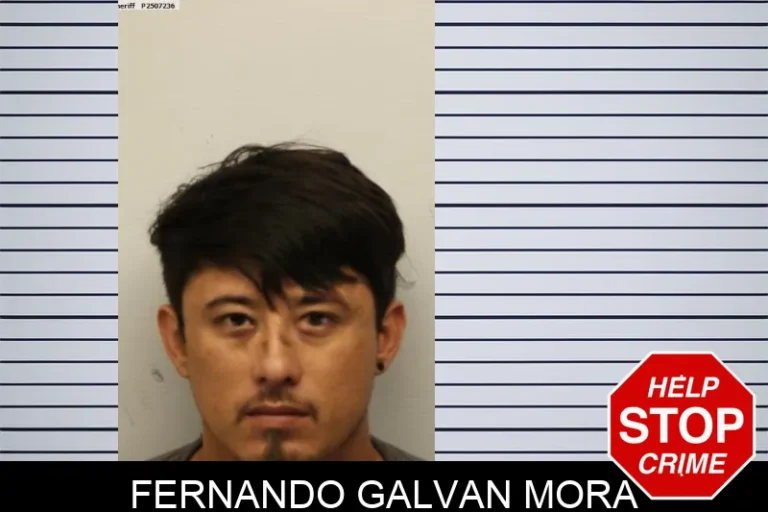 Fernando Galvan Mora