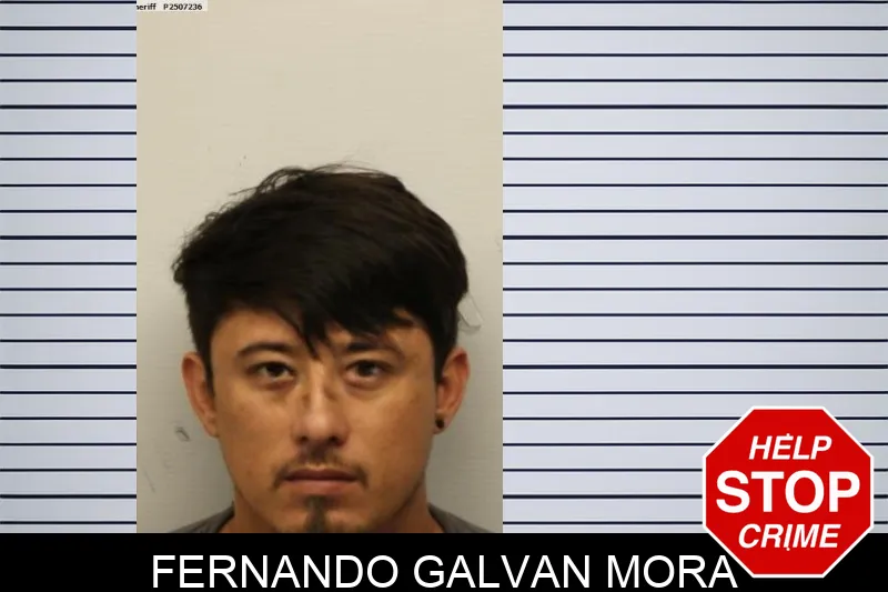 Fernando Galvan Mora Mugshots