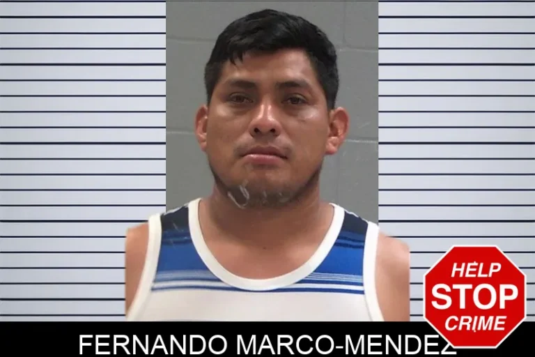 Fernando Marco-Mendez