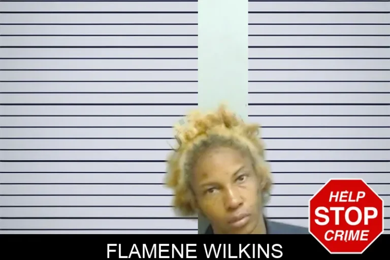 Flamene Wilkins