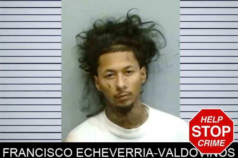 Francisco Echeverria-Valdovinos