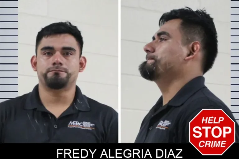 Fredy Alegria Diaz