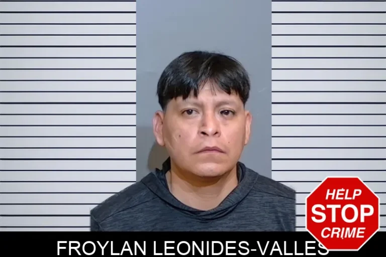 Froylan Leonides-Valles