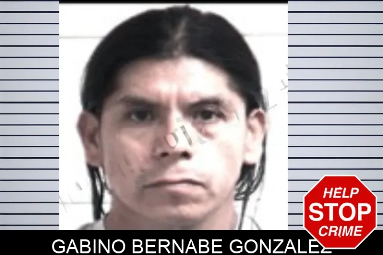 Gabino Bernabe Gonzalez mugshot – Henry County , Georgia Gabino Bernabe Gonzalez
