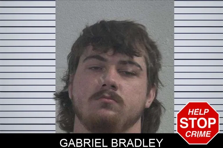 Gabriel Bradley mugshot – McDuffie County , Georgia Gabriel Bradley
