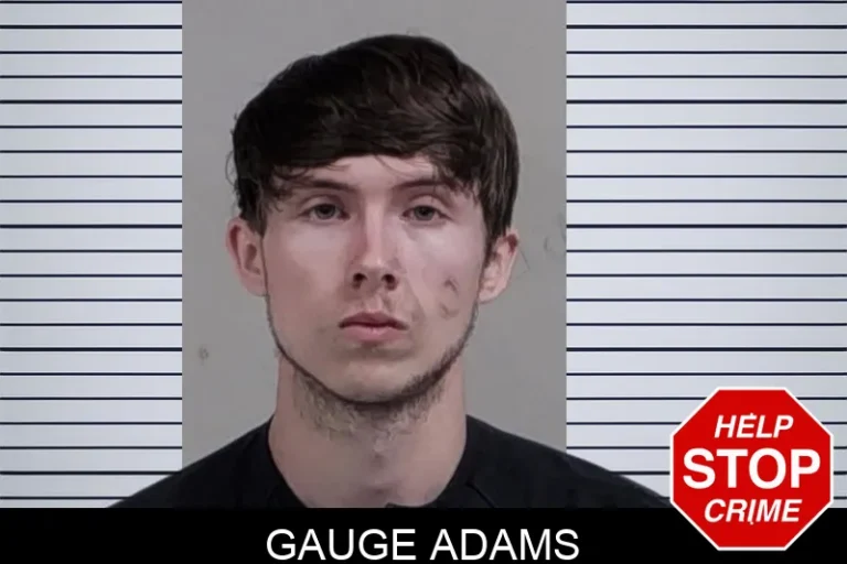 Gauge Adams