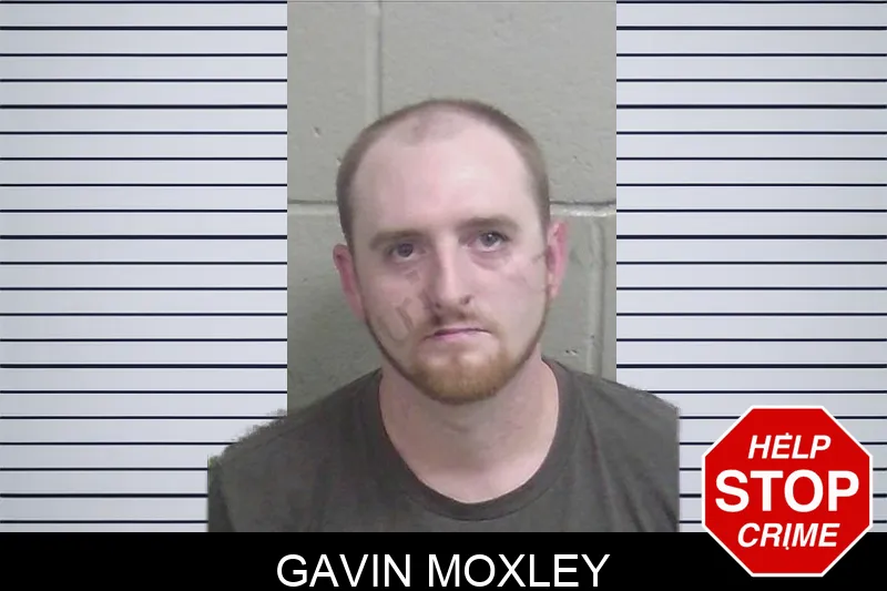 Gavin Moxley Mugshots