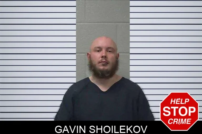 Gavin Shoilekov mugshot – Gilmer County , Georgia Gavin Shoilekov