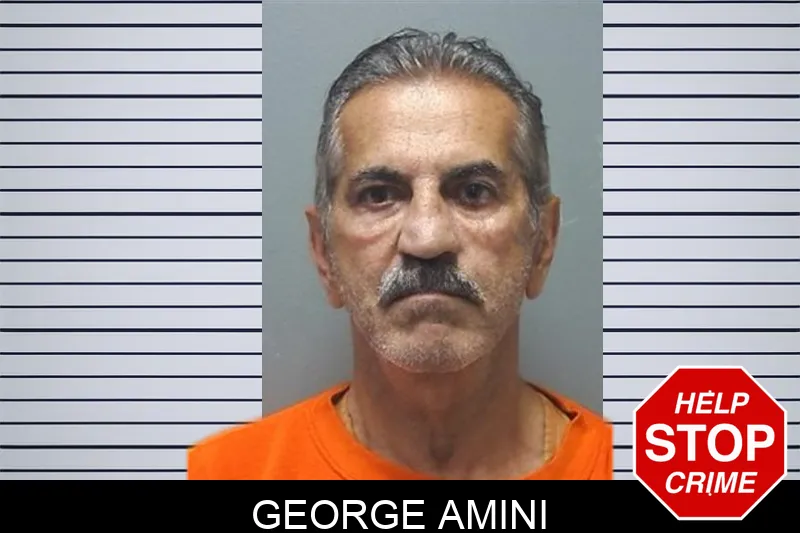 George Amini Mugshots