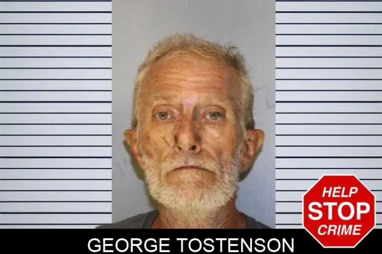 George Tostenson mugshot – Hall County , Georgia George Tostenson
