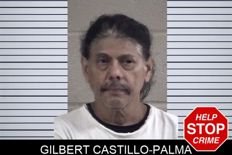 Gilbert Castillo-Palma