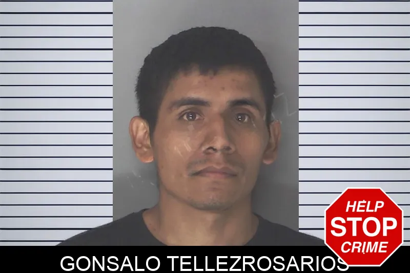 Gonsalo Tellezrosarios mugshot