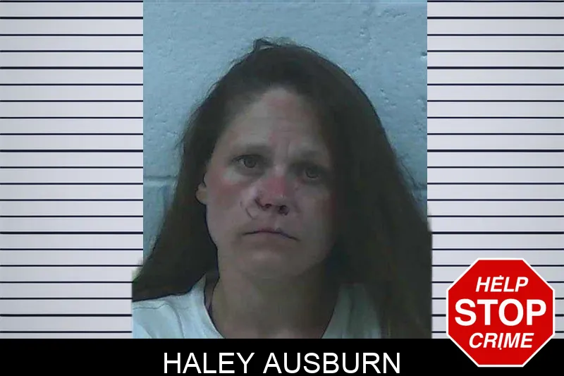 Haley Ausburn Mugshots