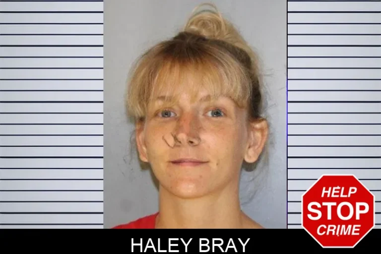 Haley Bray mugshot – Hall County , Georgia Haley Bray