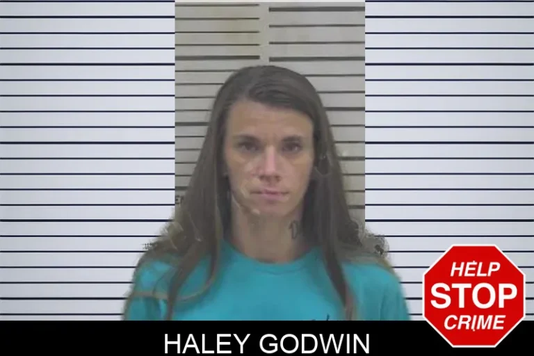 Haley Godwin