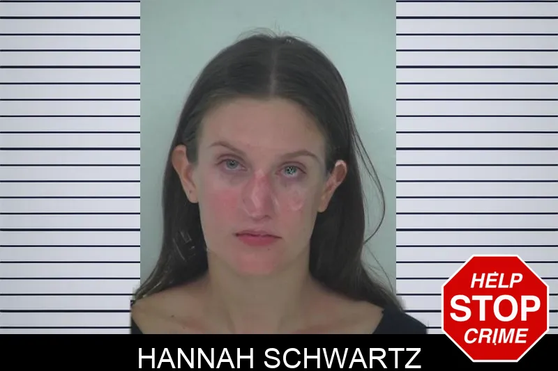 Hannah Schwartz mugshot – Fayette County , Georgia Hannah Schwartz mugshot