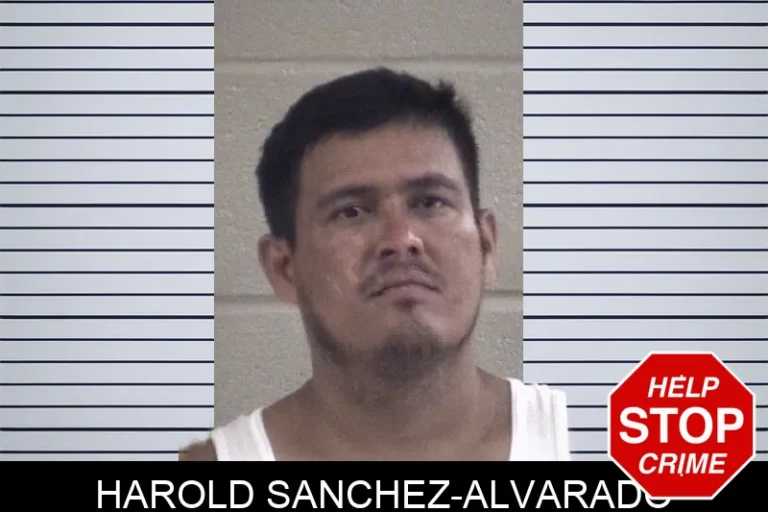 Harold Sanchez-Alvarado
