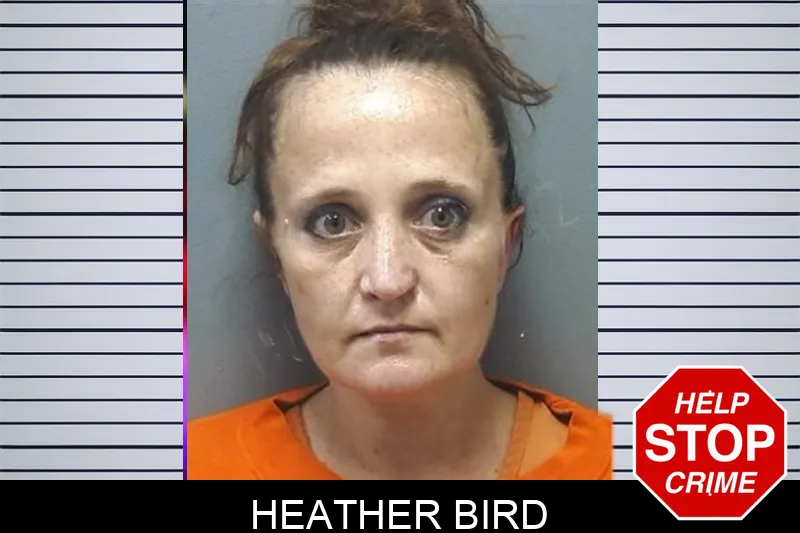 Heather Bird Mugshots