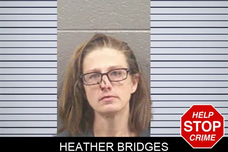 Heather Bridges