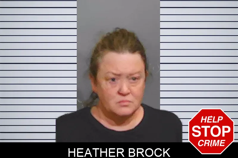 Heather Brock Mugshots