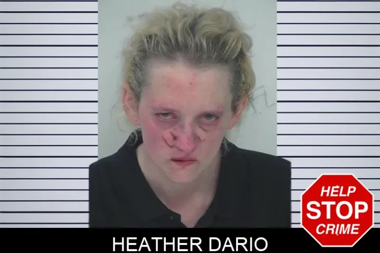Heather Dario mugshot – Fayette County , Georgia Heather Dario