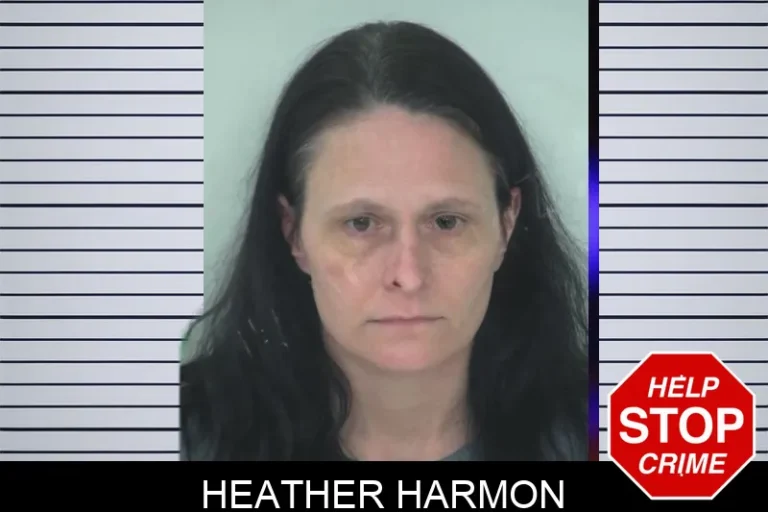 Heather Harmon mugshot – Fayette County , Georgia Heather Harmon