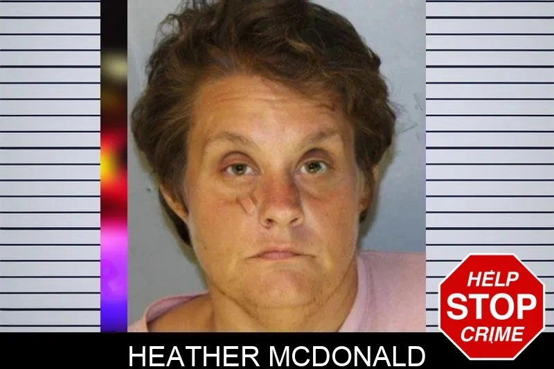 Heather McDonald mugshot