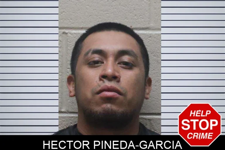 Hector Pineda-Garcia