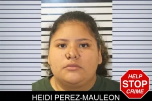 Heidi Perez-Mauleon mugshot