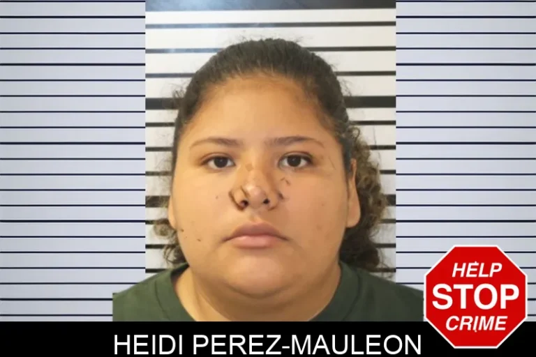 Heidi Perez-Mauleon
