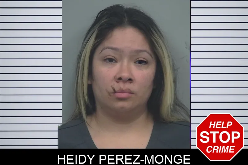 Heidy Perez-Monge mugshot