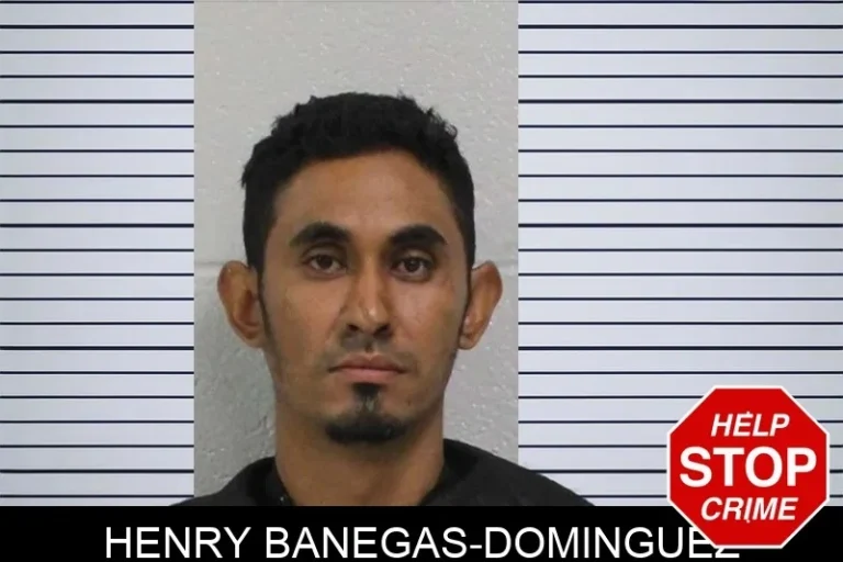 Henry Banegas-Dominguez