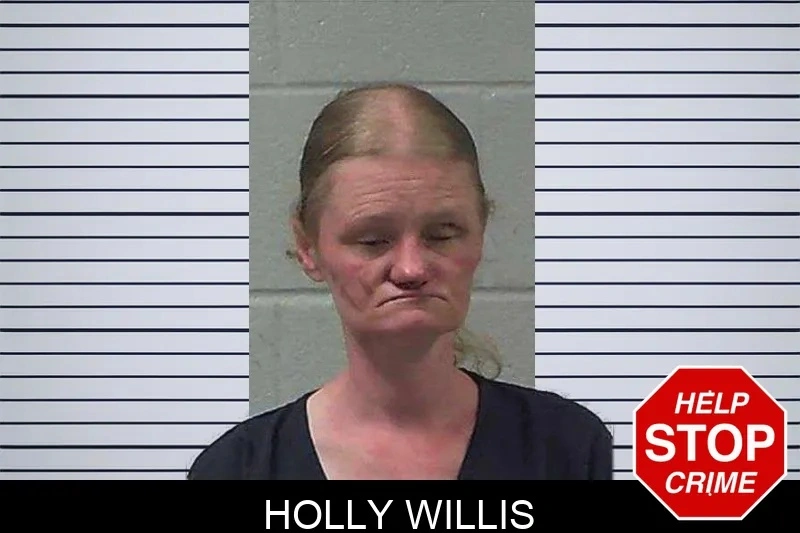 Holly Willis mugshot – Gilmer County , Georgia Holly Willis mugshot