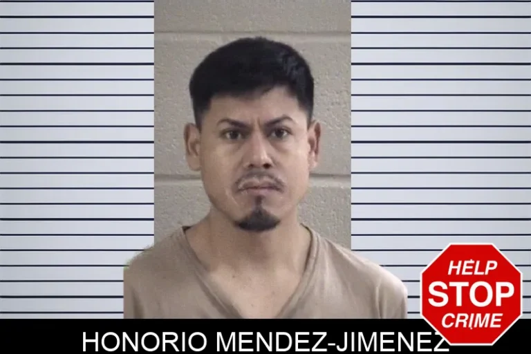 Honorio Mendez-Jimenez